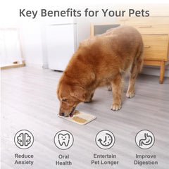 MateeyLife slow-feeder dog bowl setup enhances mindful feeding and dental gum health