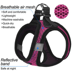 Matilor breathable air mesh harness provides cool comfort on warm days.