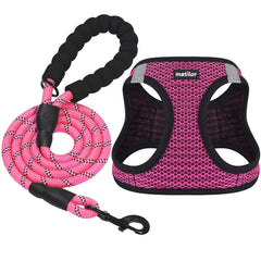 Matilor dog harness step-in design enables easy wearing during daily walks.