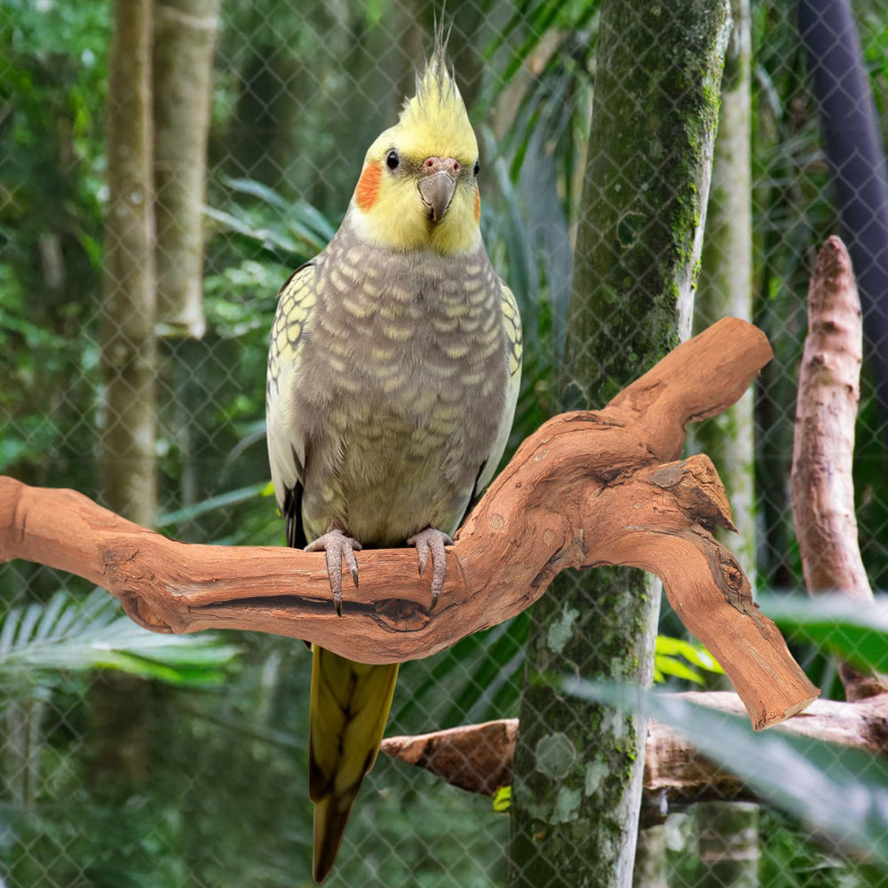 Matutinus 6-piece bird perch set displayed in cage for multiple species.