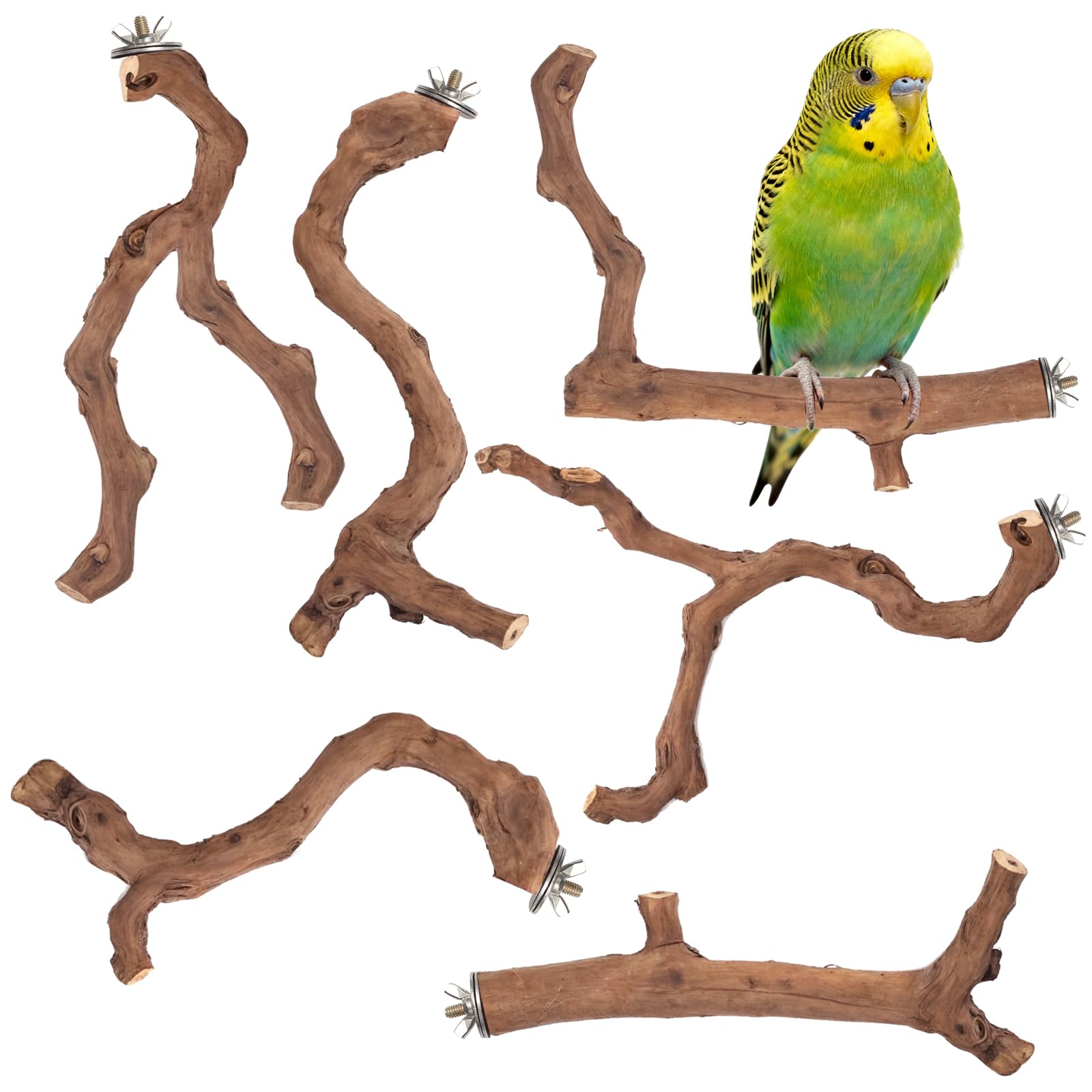 Matutinus premium bird perch stand with natural grape wood branch for parakeets encourages natural exercise.