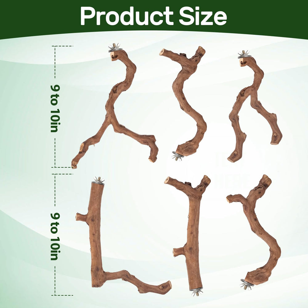 Matutinus natural fork design aligns with bird preferences for easy gripping.