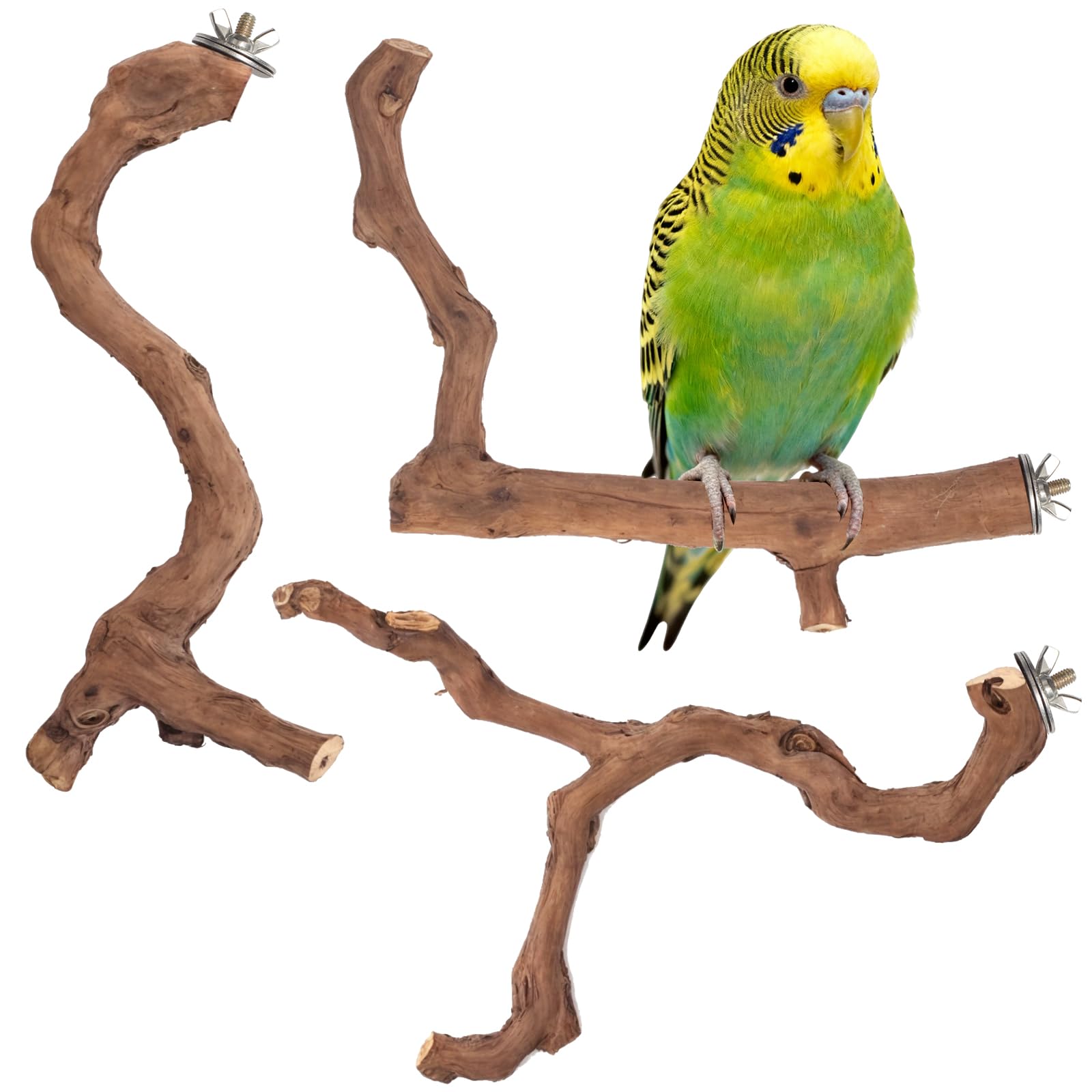 Matutinus natural grape wood branch perch provides a safe chew-friendly perch for small birds.