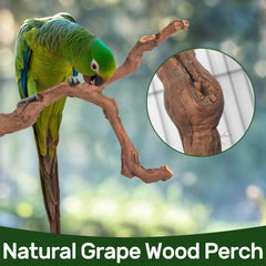 Matutinus paw grinding fork helps maintain beak health through gentle, interactive wear.