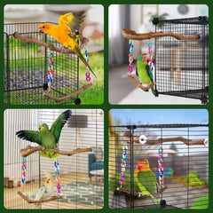 Matutinus standing perch in U-shape aids cage attachment