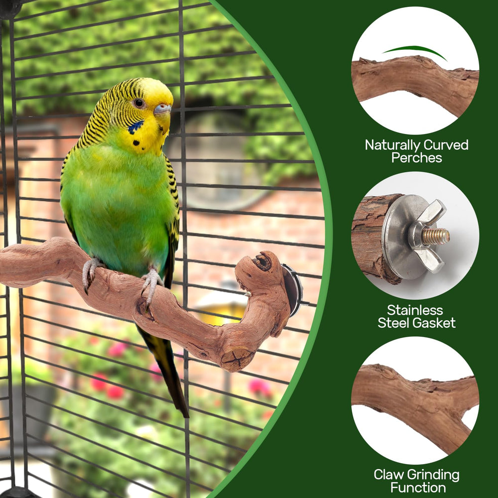 Matutinus varied branch diameters promote active climbing and natural grip.