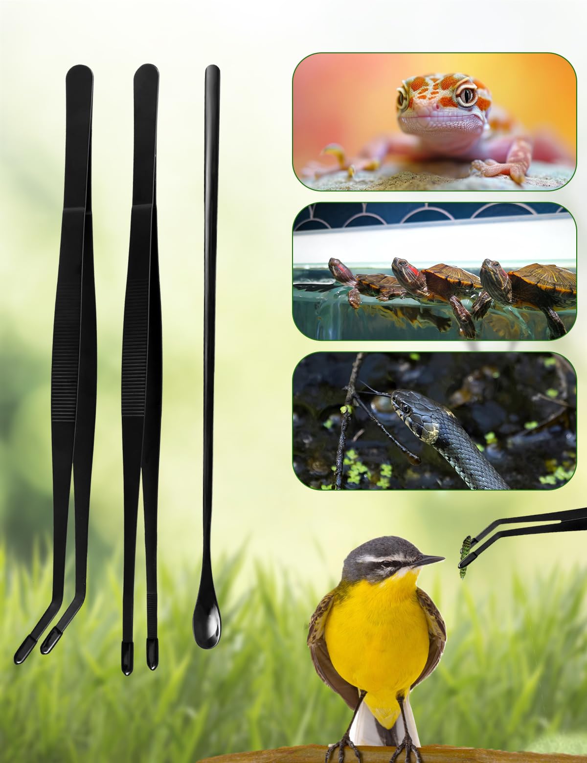 MaviyTxen 3pcs set shown as a versatile reptile feeding toolkit.