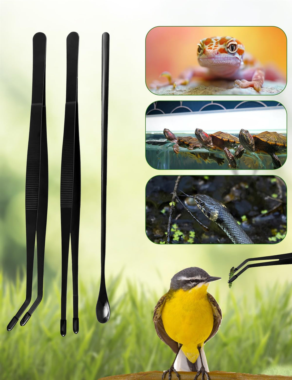 MaviyTxen 3pcs set shown as a versatile reptile feeding toolkit.