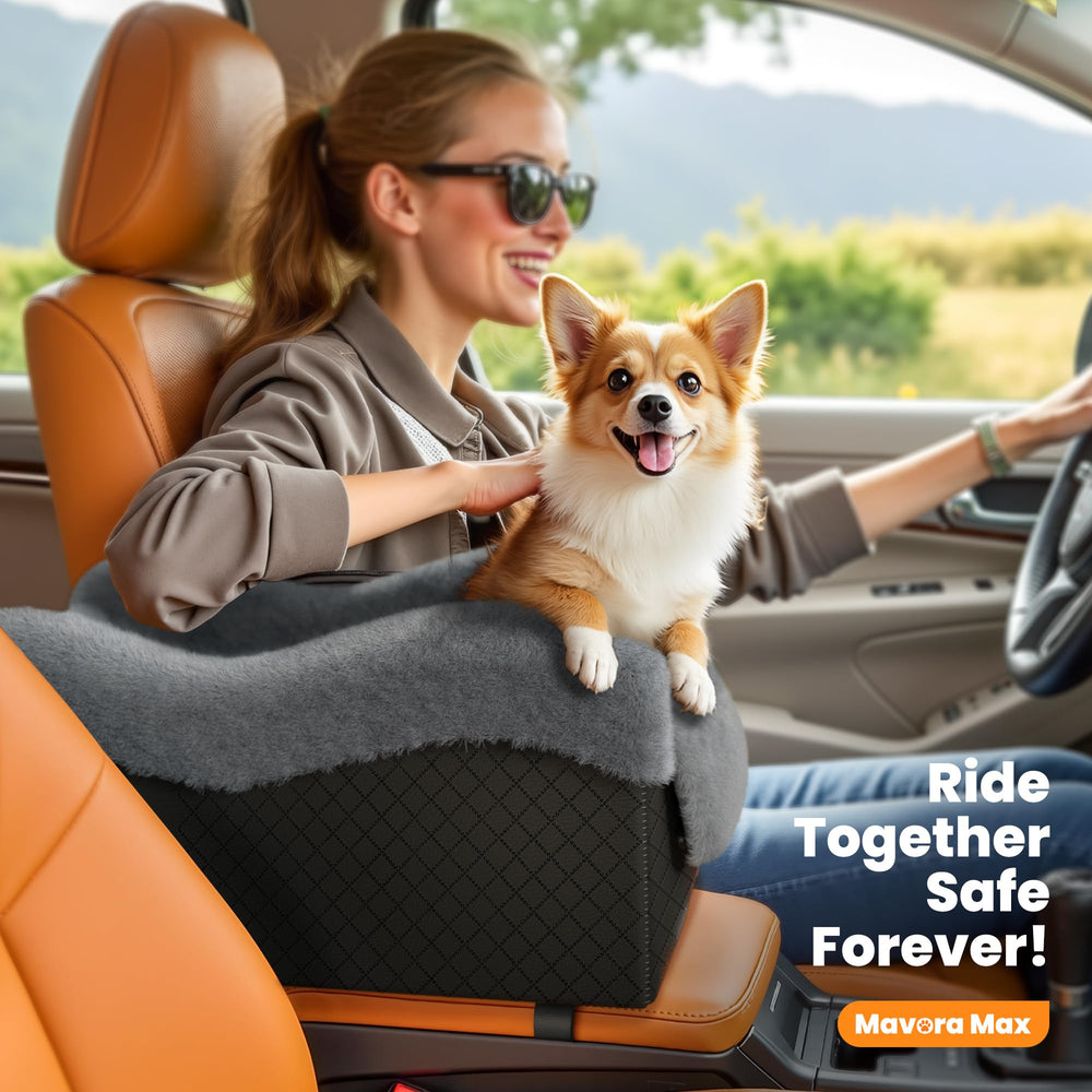 Mavora Max center-console arrangement keeps your pet close and comfortable