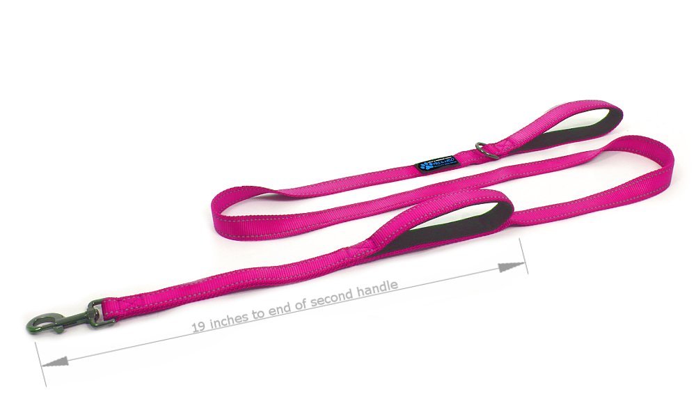 Max and Neo double-handle leash close-up shows neoprene handles for comfortable grip