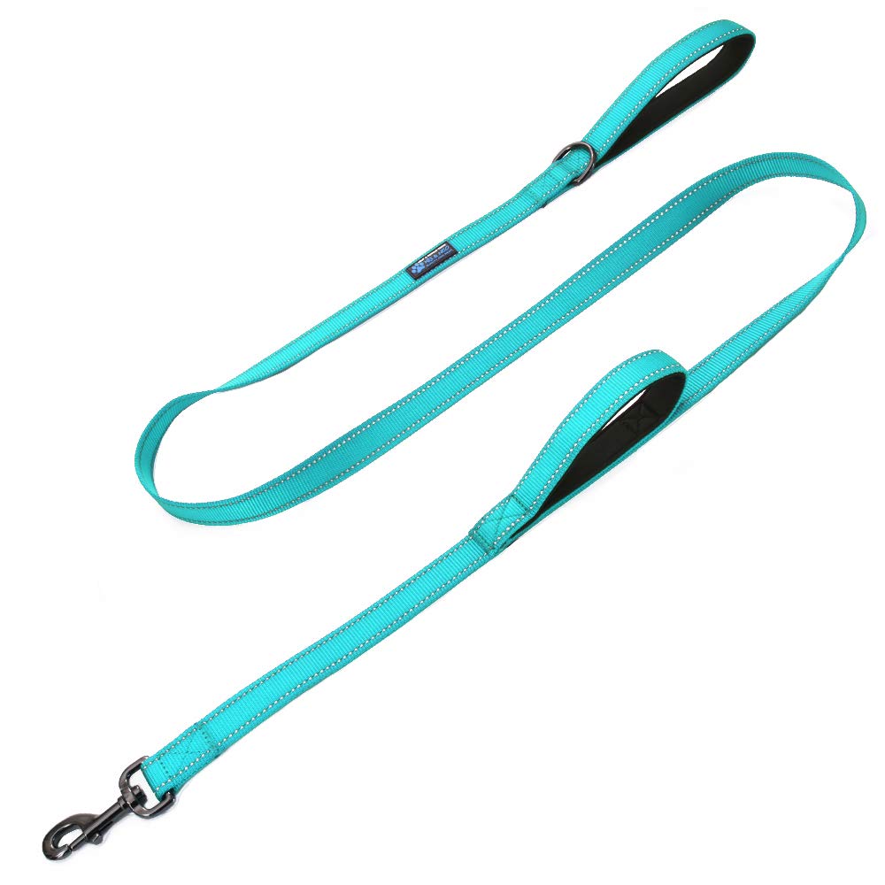 Max and Neo double handle leash teal for durable daily walks
