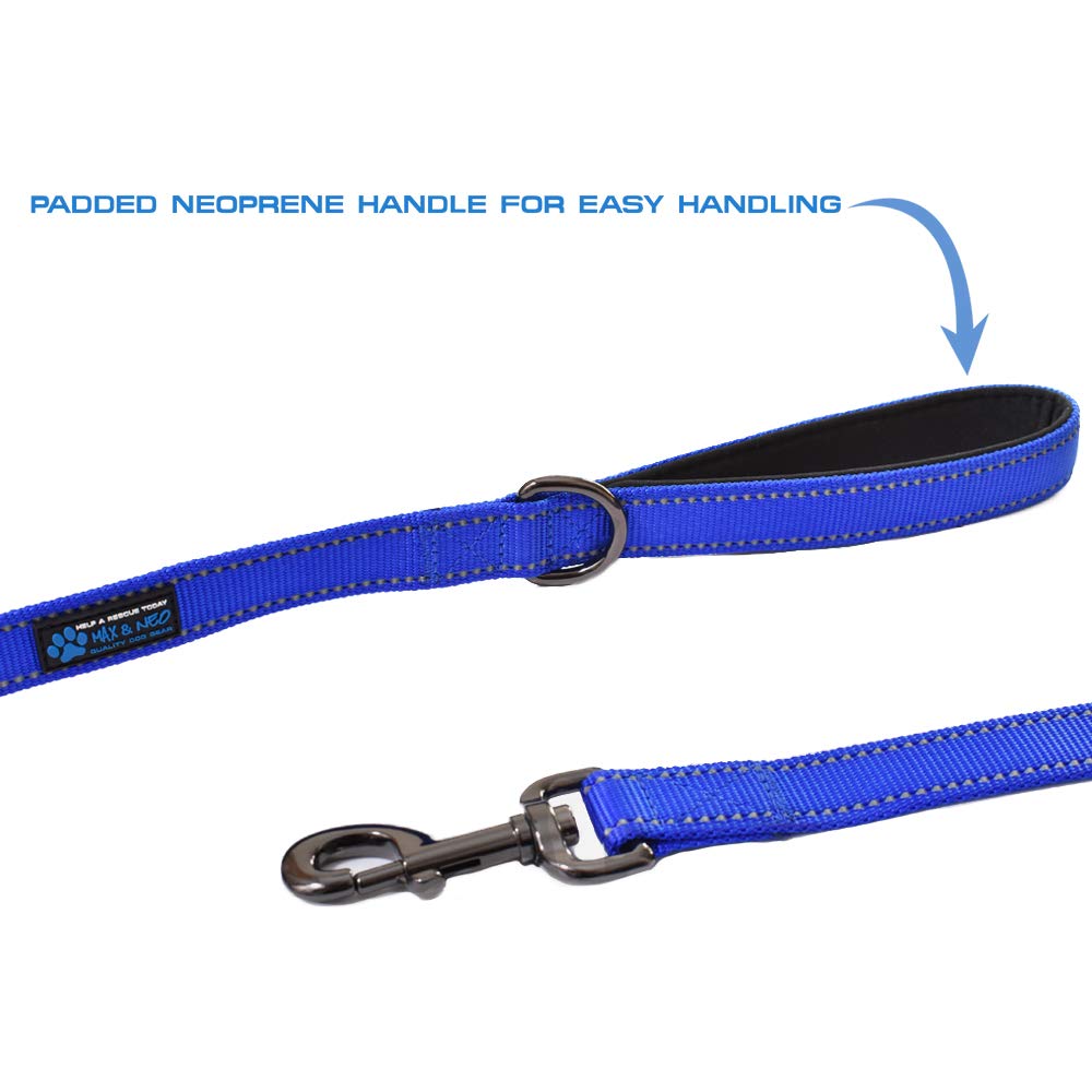 Max and Neo leash features reflective stitching for safer walking after dusk
