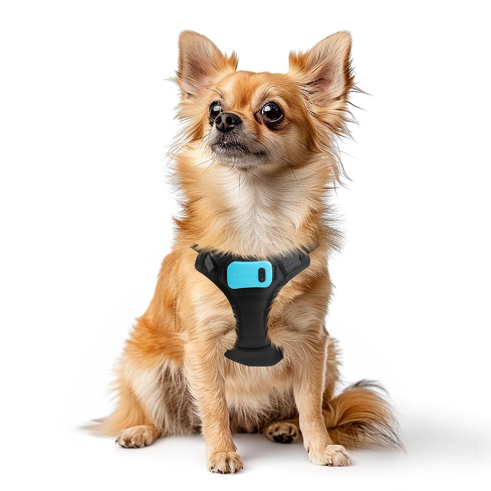 Max Barks bark control vest designed for small dogs for gentle training