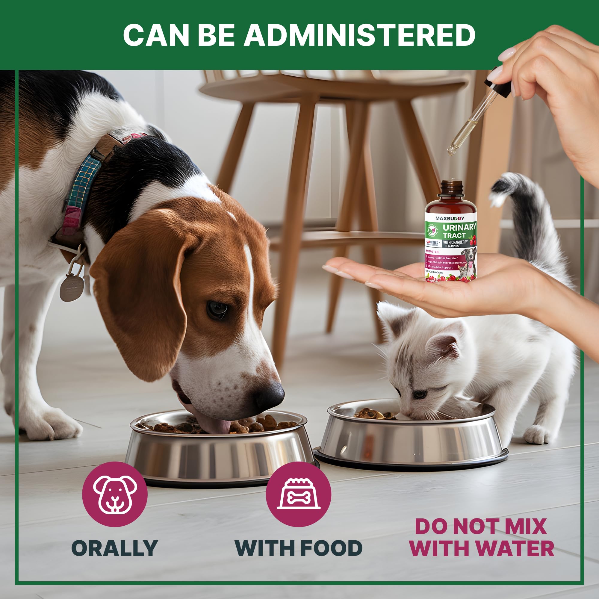 MaxBuddy kidney-bladder-wellness drops support daily pet care.