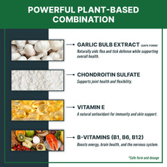 MaxBuddy multivitamin-enzyme formula label signals joint and digestion support for pets.