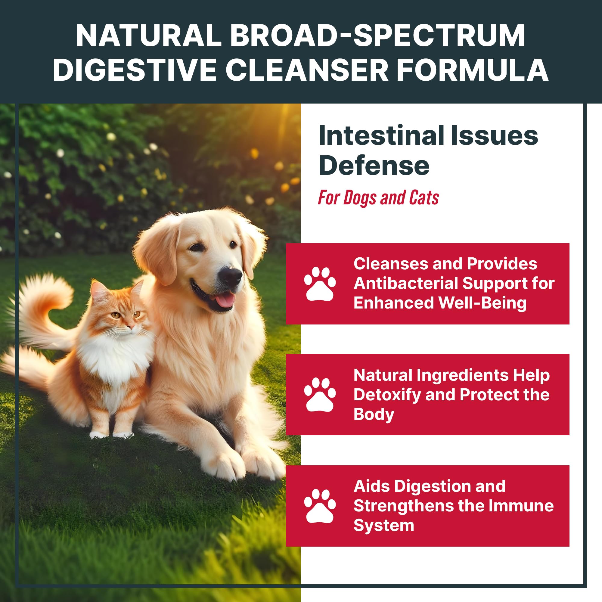 MaxBuddy Natural Intestinal Defense dropper enables easy dosing for pet digestive care.