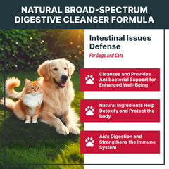 MaxBuddy Natural Intestinal Defense dropper enables easy dosing for pet digestive care.