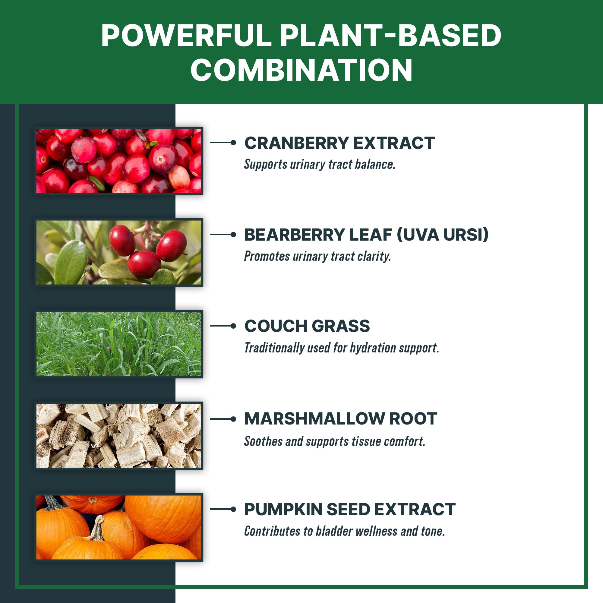 MaxBuddy pumpkin seed extract drops provide antioxidants to support pet vitality.