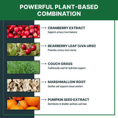 MaxBuddy pumpkin seed extract drops provide antioxidants to support pet vitality.