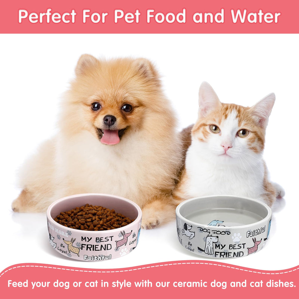 Maxcheck 5-inch gray dog bowl close-up—space-saving, travel-ready for on-the-go feeding.