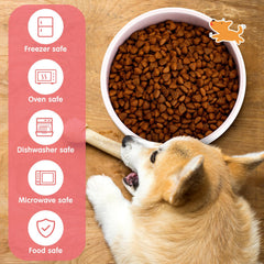 Maxcheck 5-inch pink dog bowl close-up—compact for small dogs and cats.