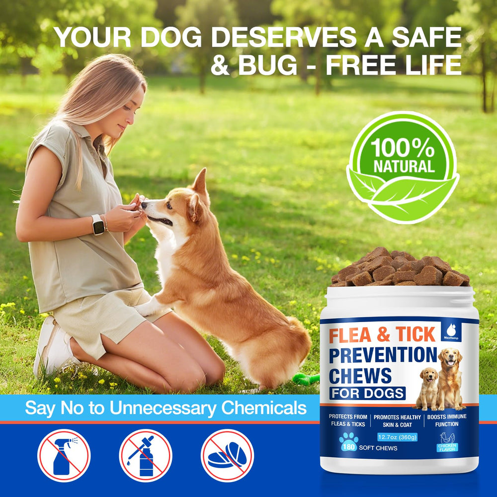 MaxHemp daily-use chews — simple routine for ongoing protection.