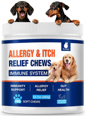 MaxHemp dog allergy chews bottle offers a tasty daily treat supporting skin comfort.