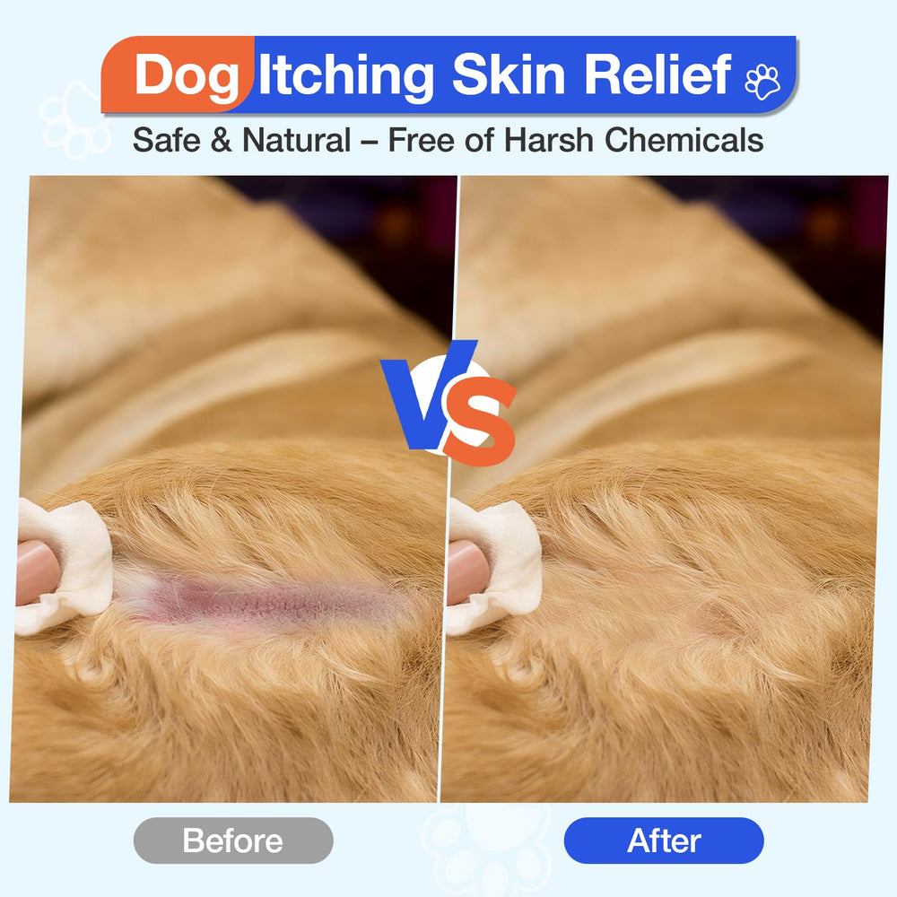 MaxHemp dog allergy chews close-up shows tasty chews dogs love for consistent itch relief.