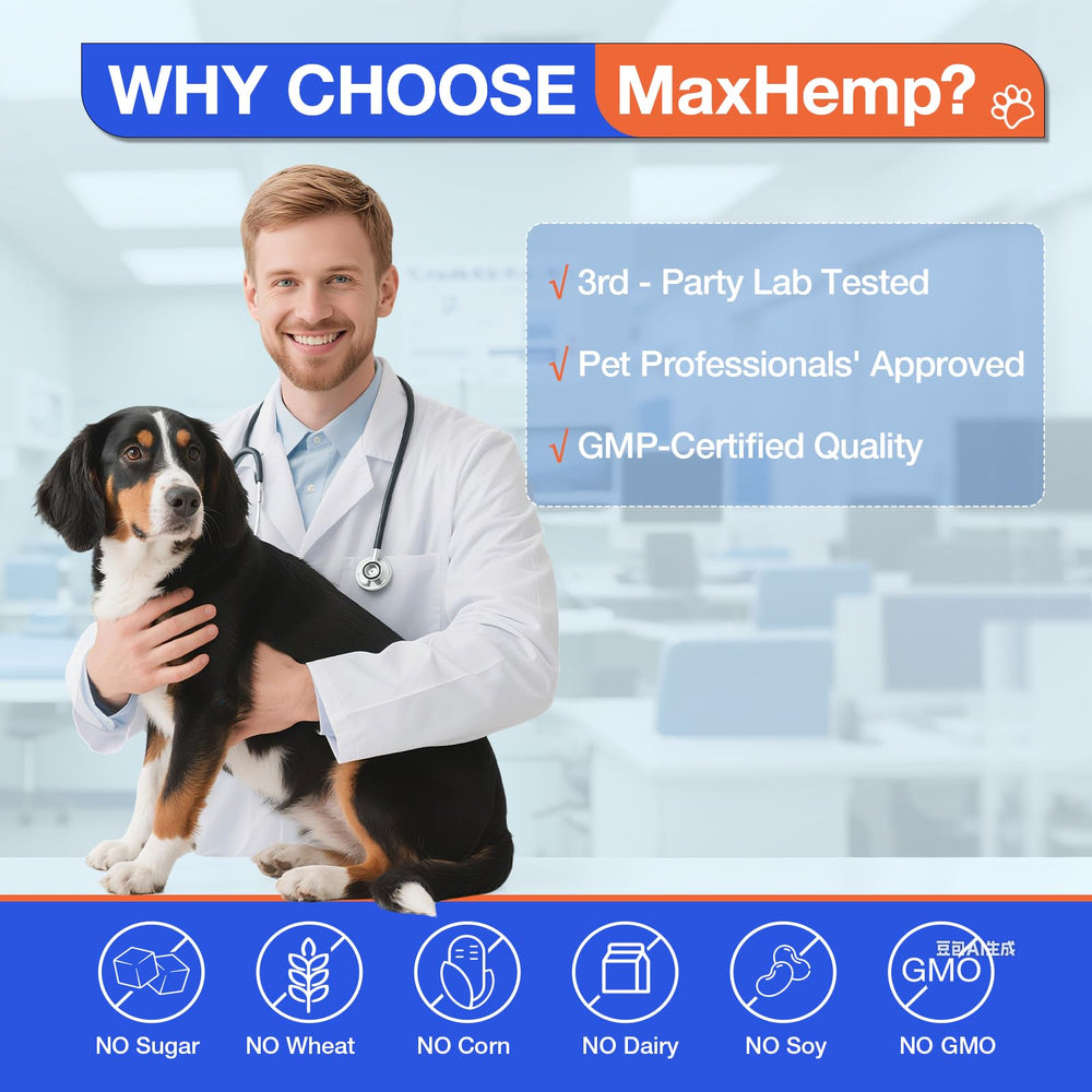 MaxHemp dog allergy chews packaging highlights omega-3 blend for holistic wellness.