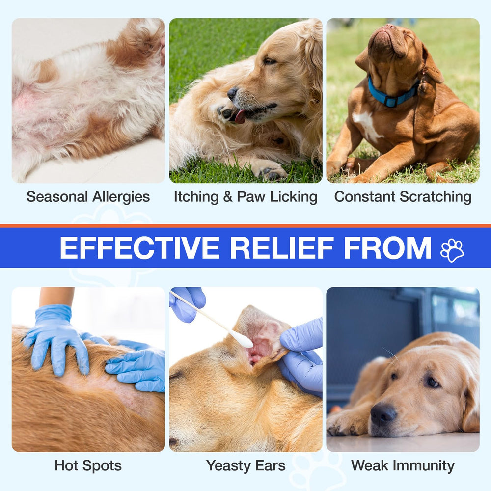 MaxHemp dog allergy chews close-up highlights easy daily dosing for ongoing relief.