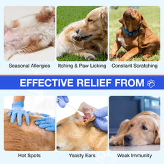 MaxHemp dog allergy chews close-up highlights easy daily dosing for ongoing relief.