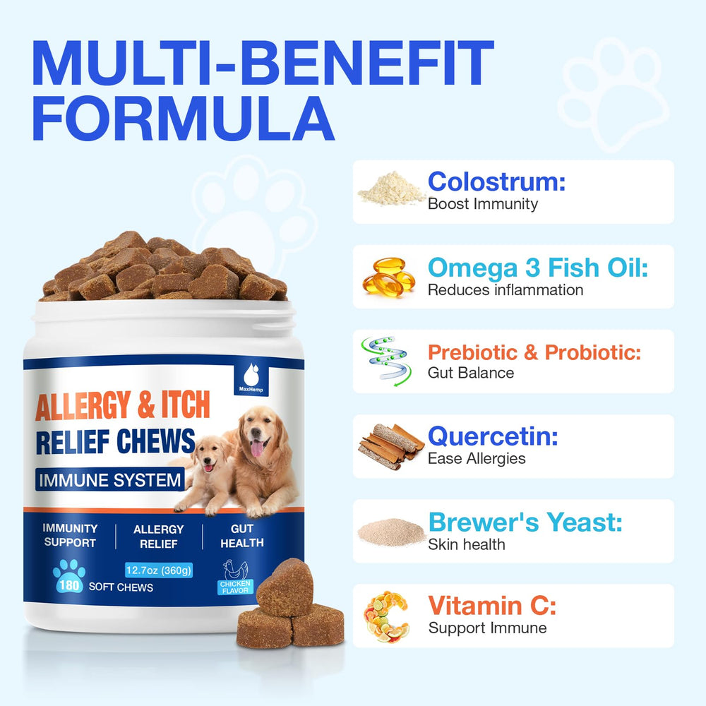 MaxHemp dog allergy chews tasting photo emphasizes palatable flavor for daily use.