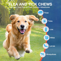 MaxHemp flea-tick chews closeup — tasty chicken flavor dogs love.
