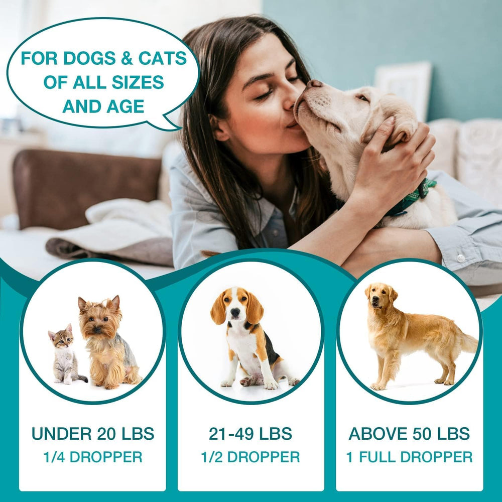 MaxHemp pet oil calm pets visual suggesting relaxed evenings after walks