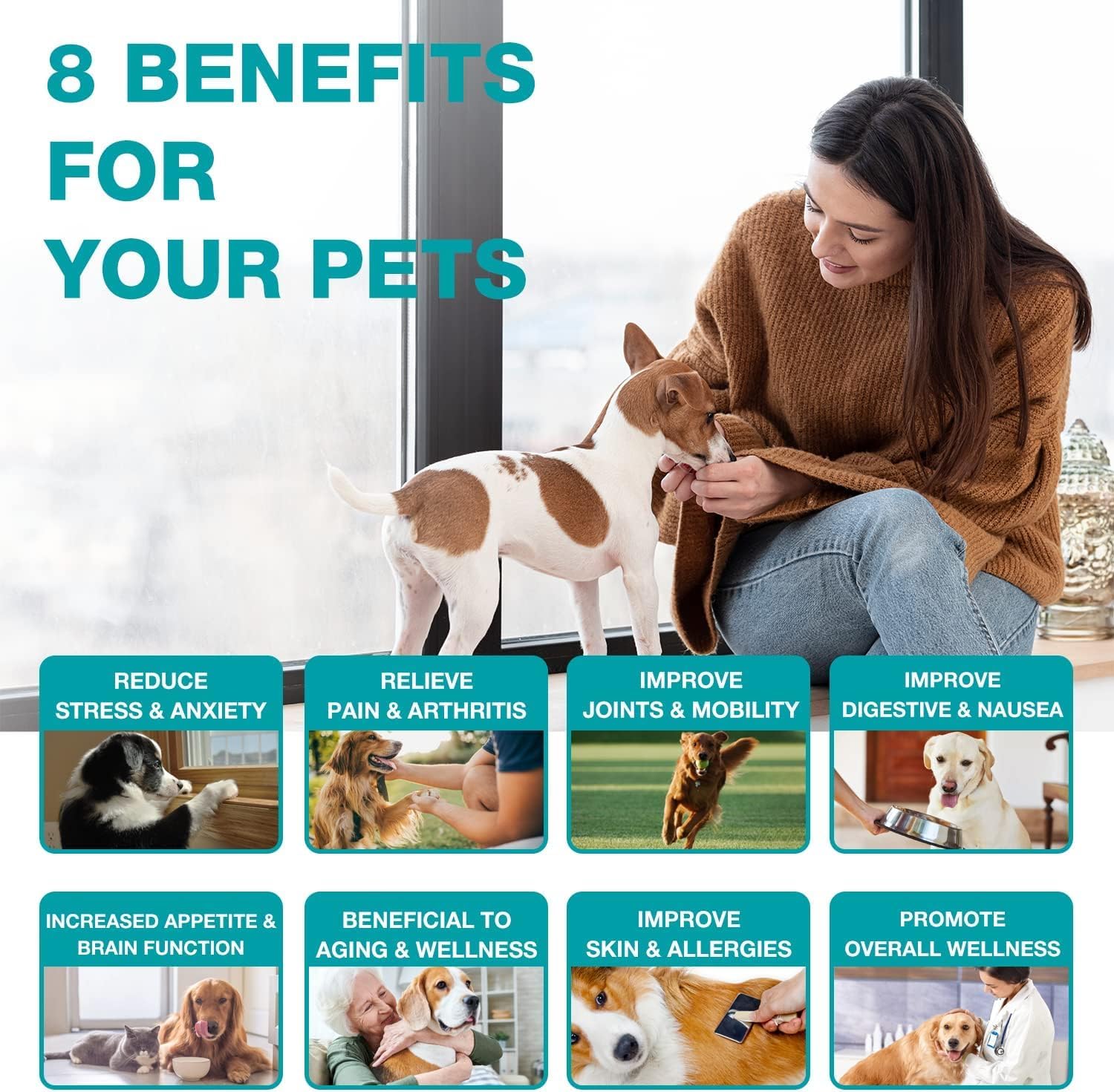 MaxHemp pet oil dog treat dispense demonstrates mixing with treats for calm moments