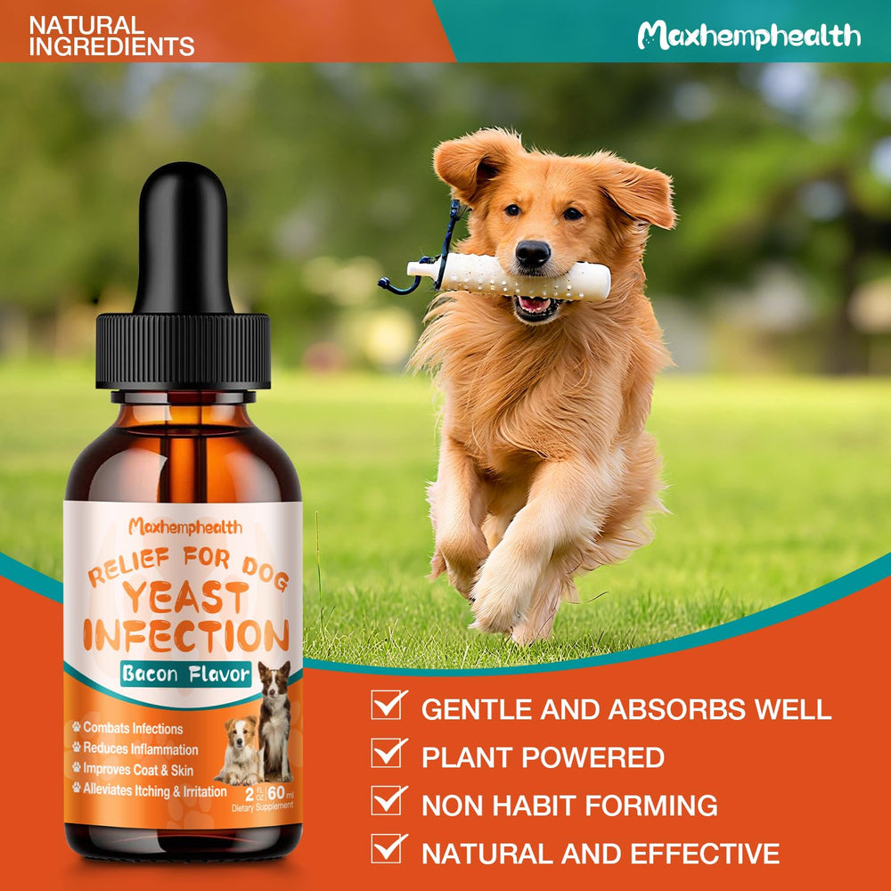 Maxhemphealth dog-itchy-ears-closeup: soothing application target for ear irritation.