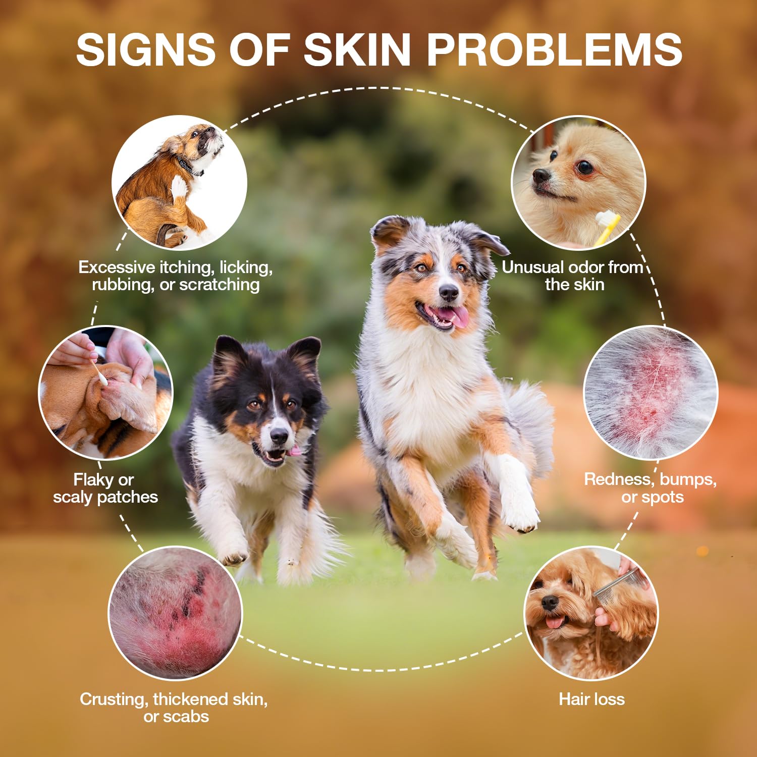 Maxhemphealth dog-skin-inflammation-relief: supports healthy coat and reduced redness.