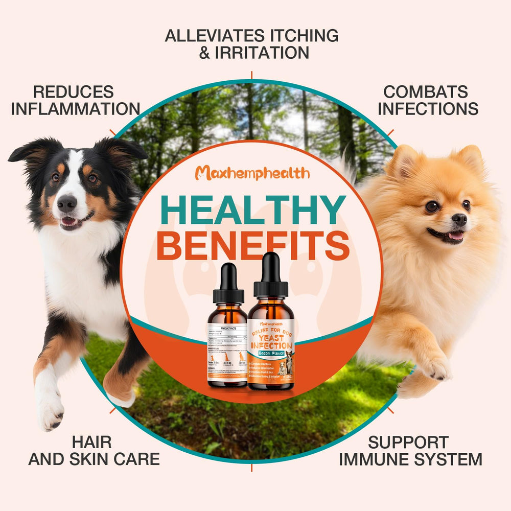 Maxhemphealth-drops-in-food-mixing shows convenient method to feed the supplement