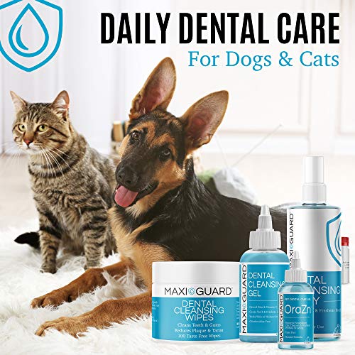 Maxi-Guard dental wipes: easy, safe daily oral care.