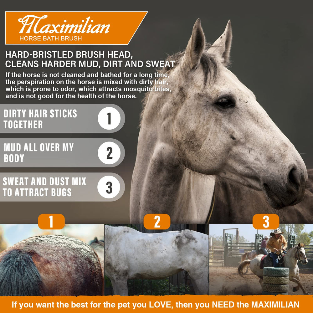 MAXIMILIAN professional grooming tool ready for daily equine care.