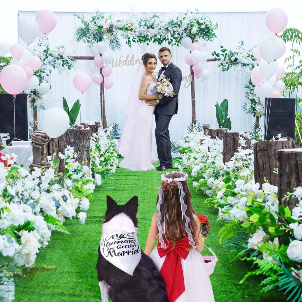 MAXIQI dog bandana at bridal shower for charming moments
