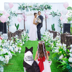 MAXIQI dog bandana at bridal shower for charming moments
