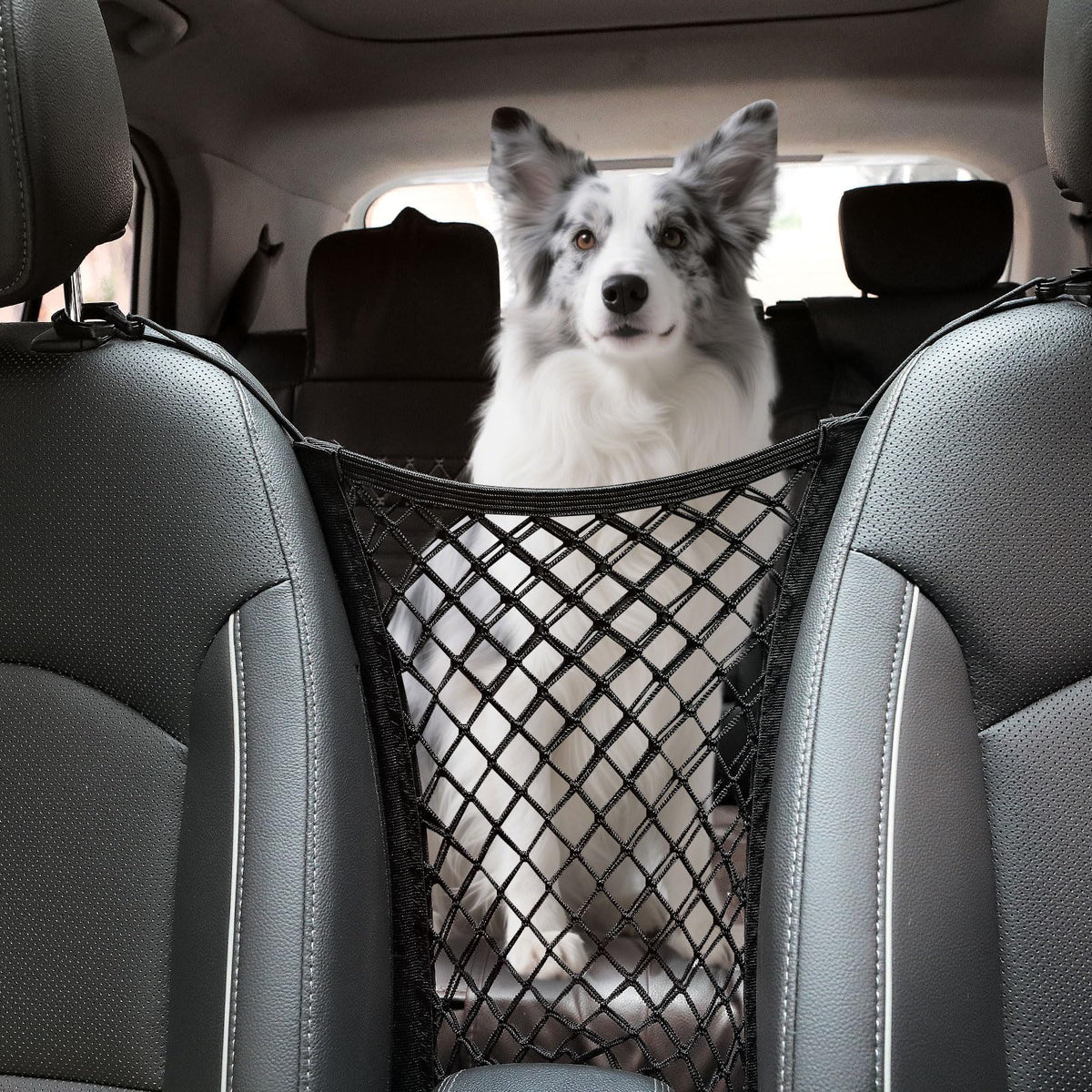 MAXIQI dog barrier front view showing front-rear separation for safer driving