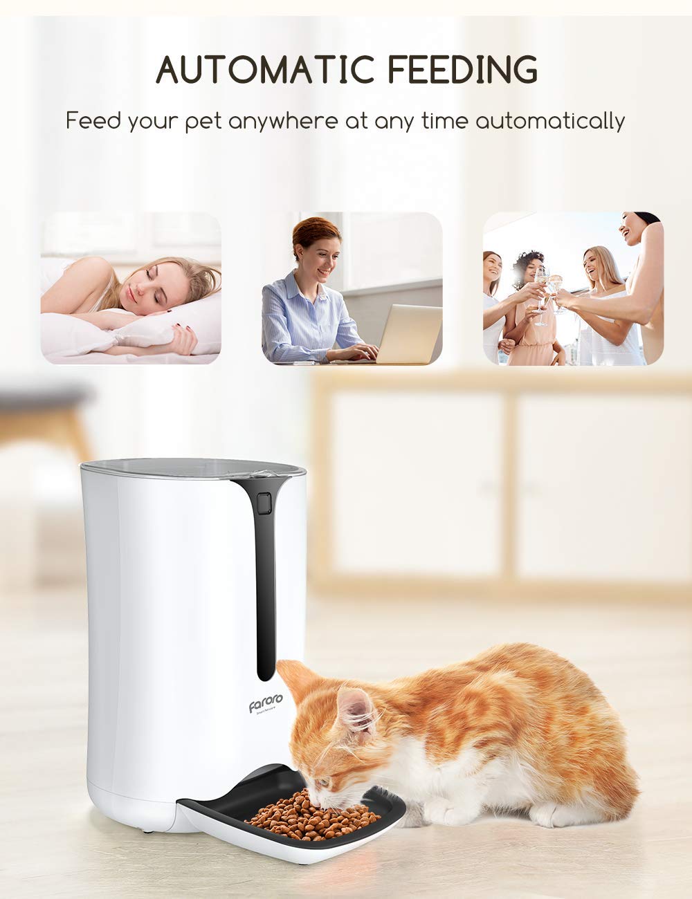 MAXKU feeder timer display illustrates programmable meal times to fit your pet's routine