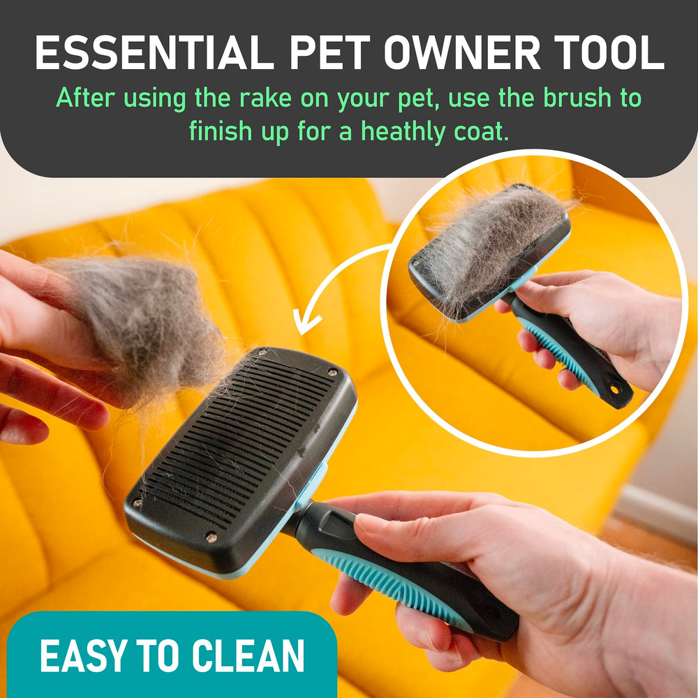 Maxpower Planet cat-dog-grooming-brush-in-action suitable for multi-pet households and shared grooming.