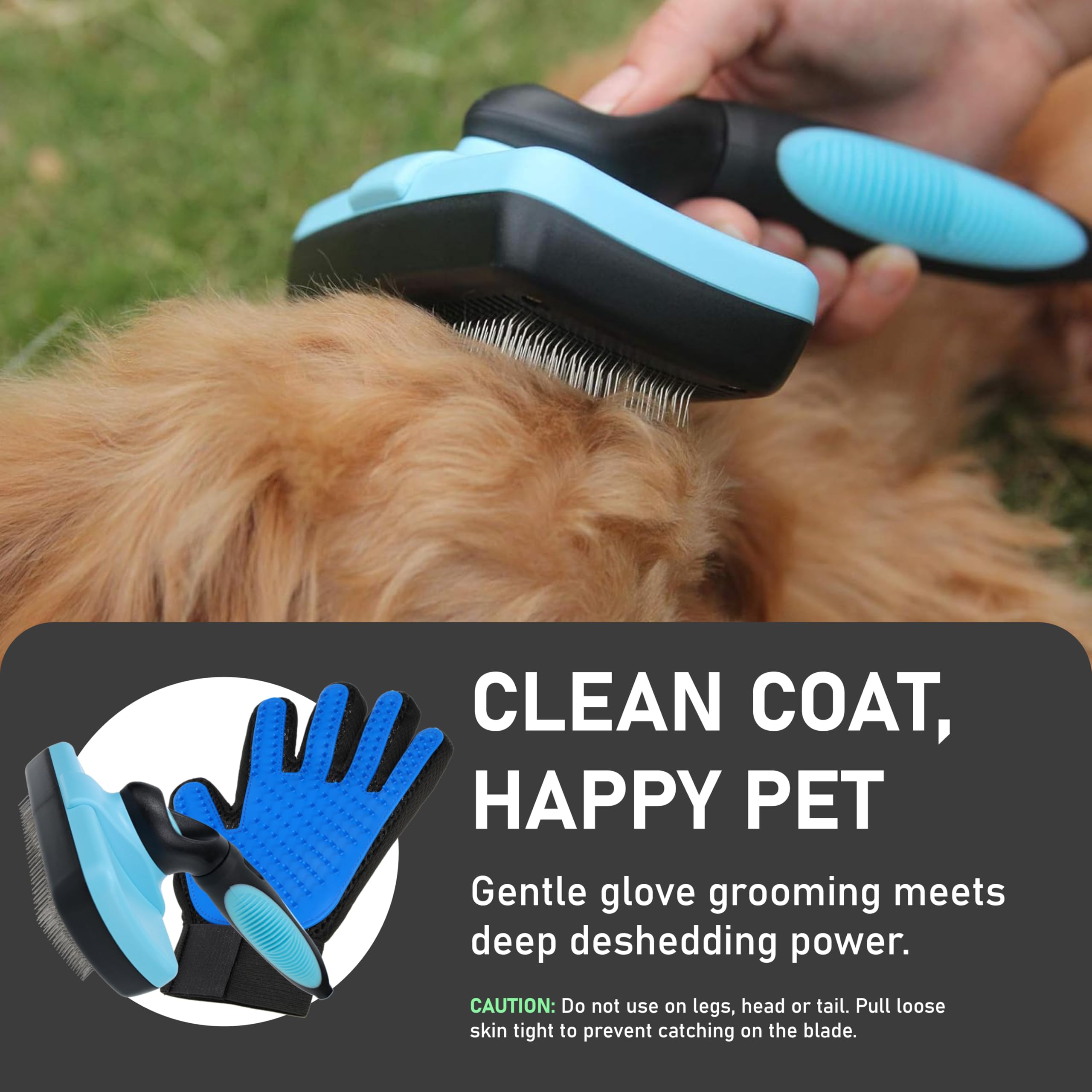Maxpower Planet in-use brush demonstrates easy grooming for dogs and cats.