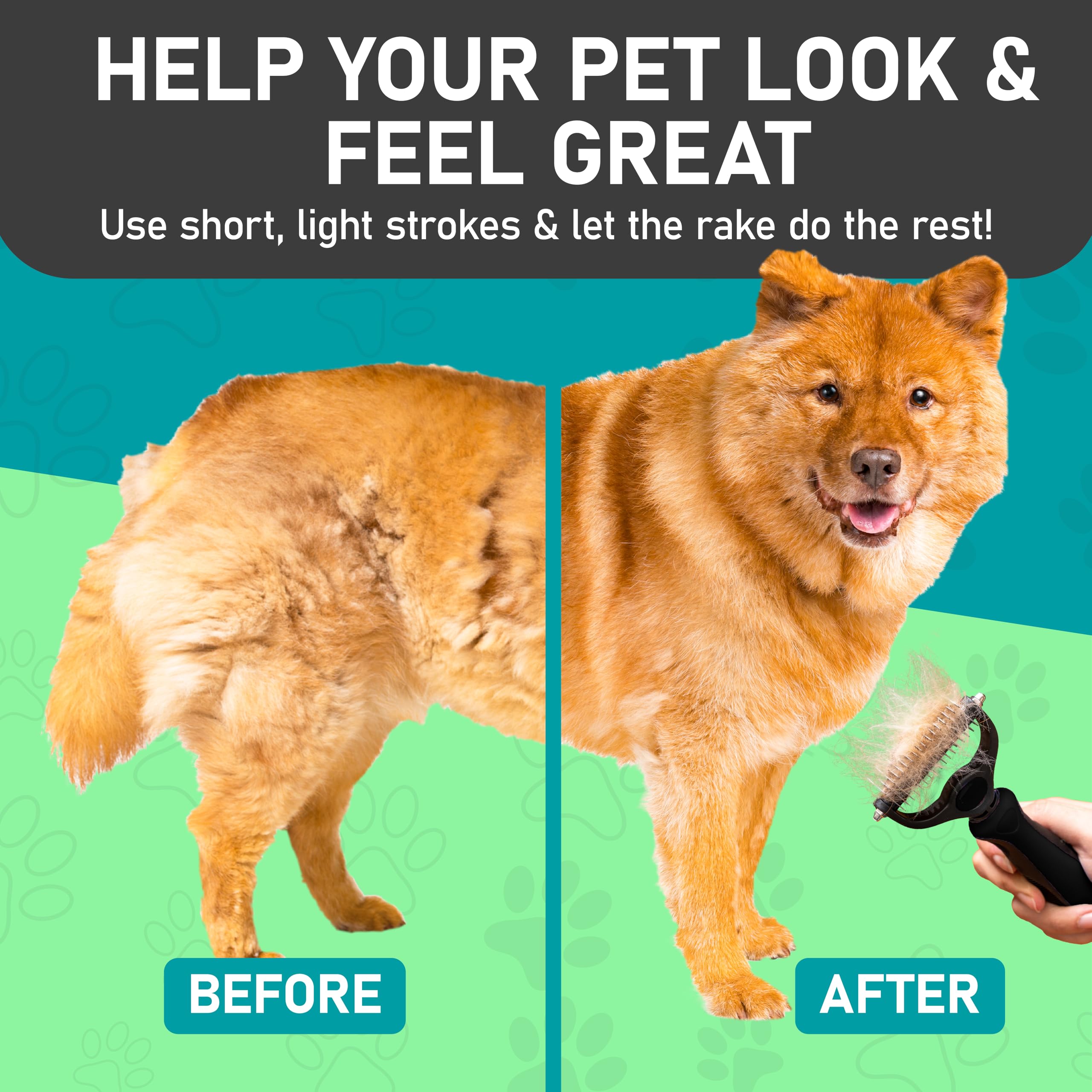 Maxpower Planet grooming gift-ready packaging appeals to pet lovers