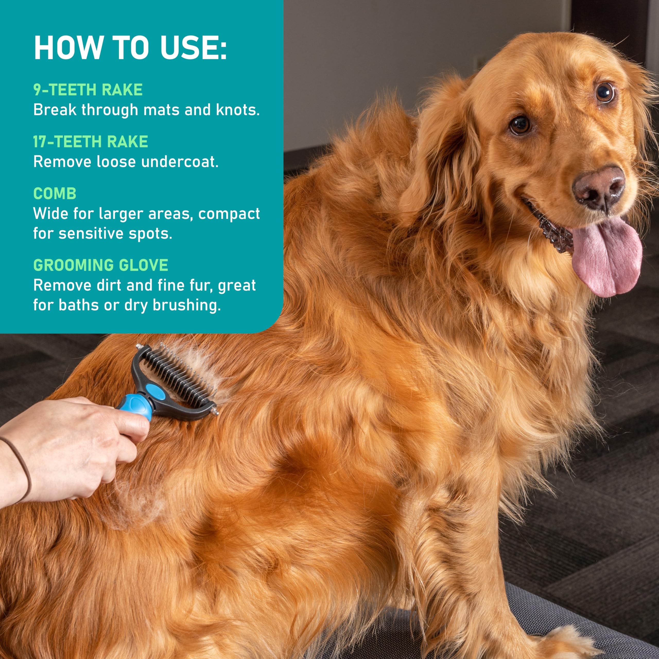 Maxpower Planet brush as a thoughtful gift for pet lovers during grooming routine.