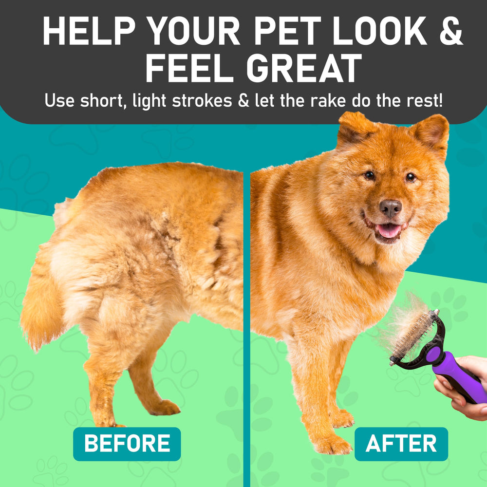 Maxpower Planet Pet Grooming Brush gift-ready packaging for pet lovers.