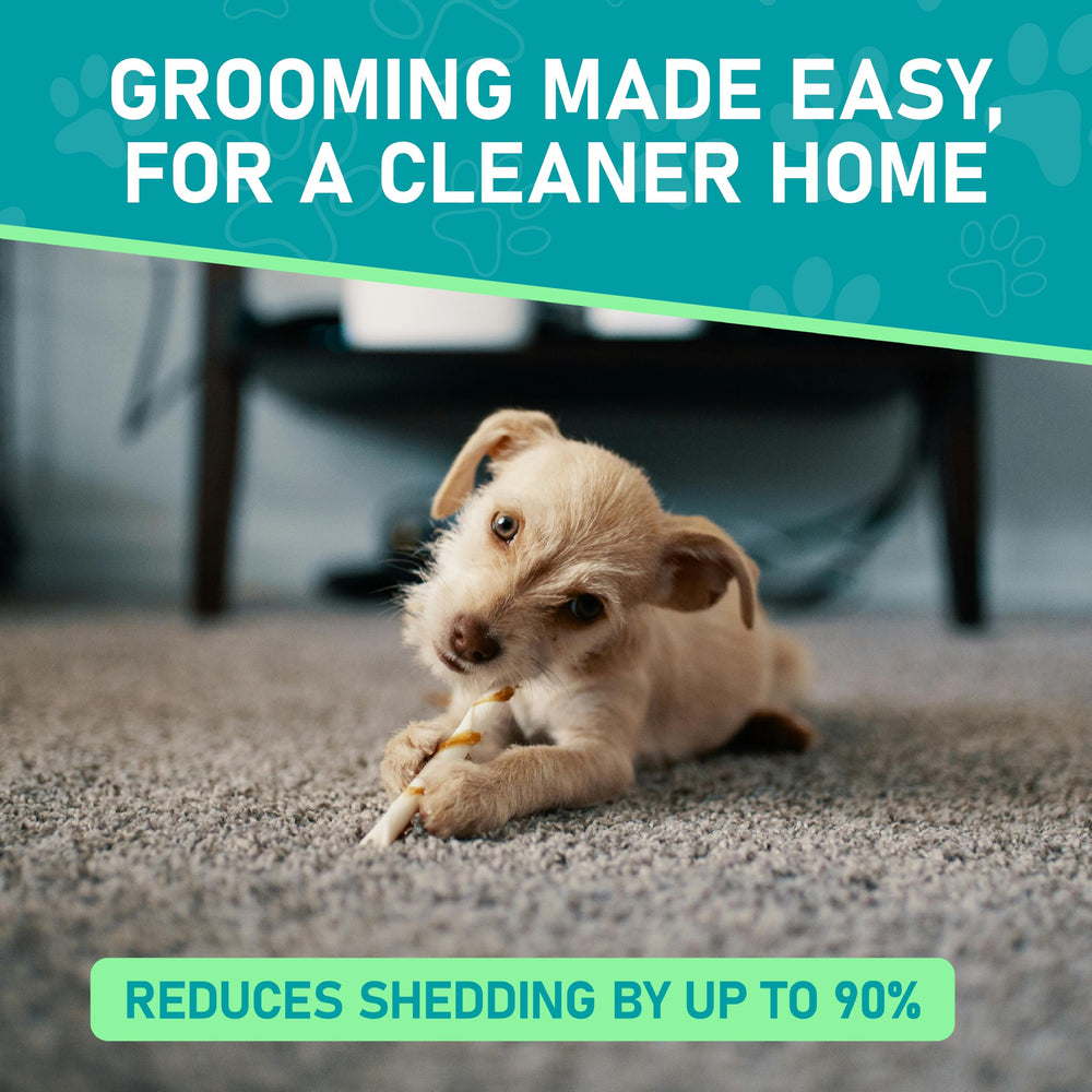 Maxpower Planet Pet Grooming Brush soft rounded teeth close-up reduces irritation.